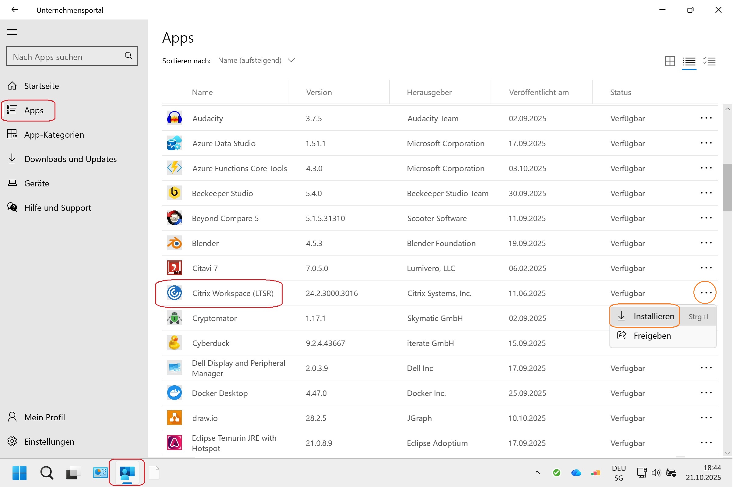 Applikationsdetails mit Schaltfläche „Installieren“