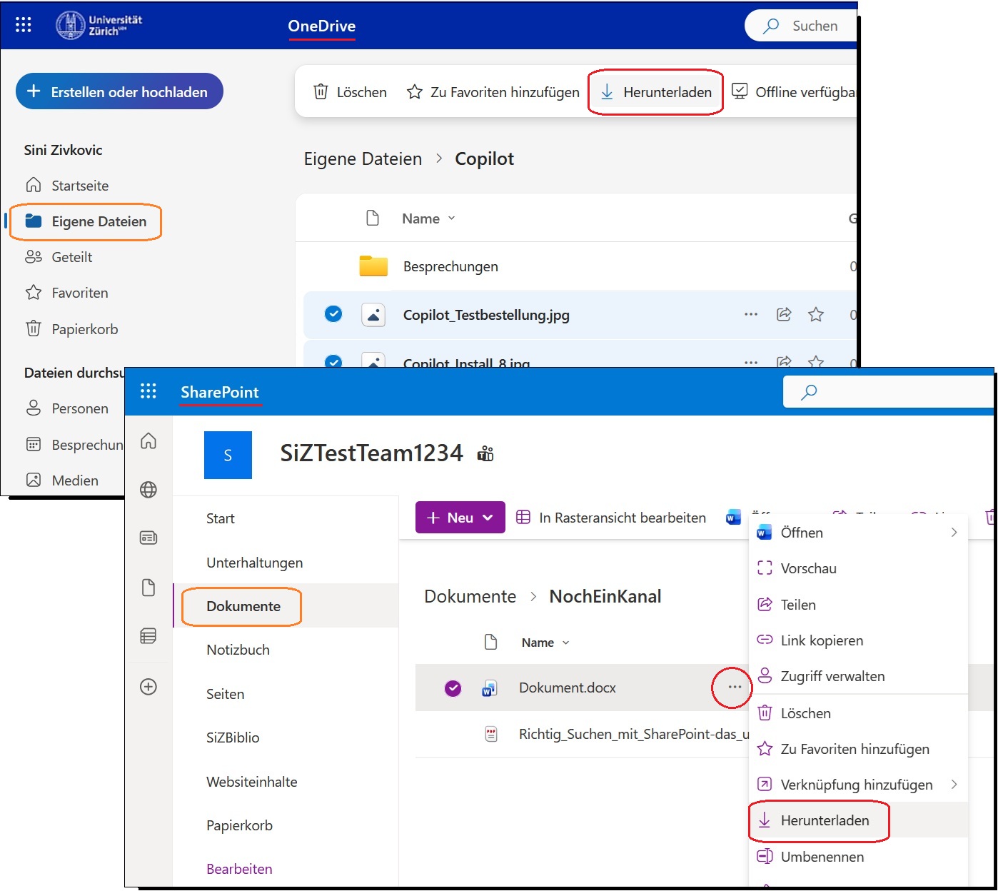 Herunterladen-Schaltflächen in OneDrive und SharePoint