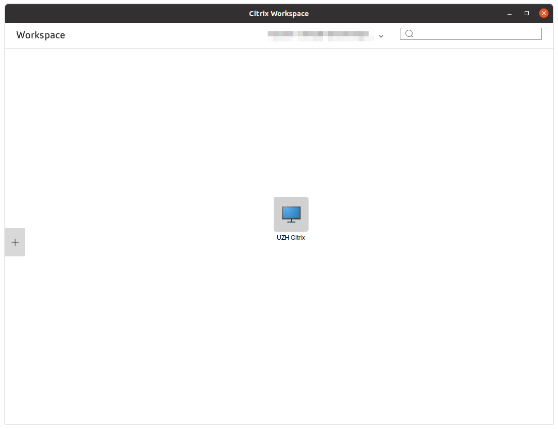 Bild 5: Workspace mit ausgewähltem UZH-Citrix-Desktop