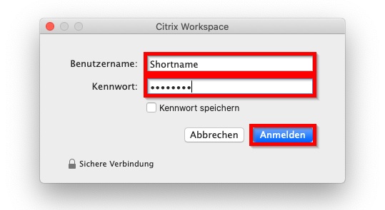 Bild 11: Passwort-Abfragedialogbox