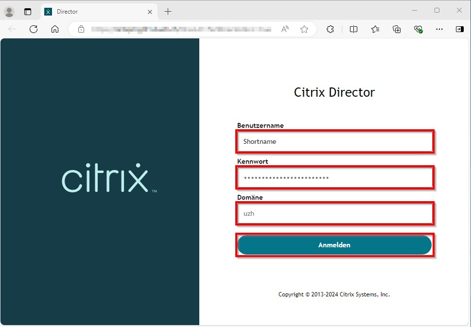 Bild 2: Anmeldeseite des Citrix Director mit ausgefüllten Login-Feldern