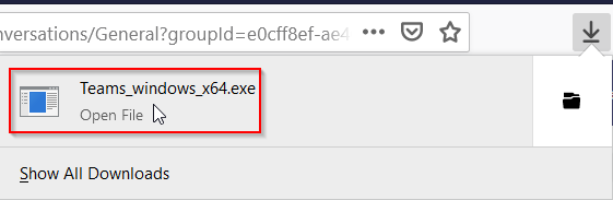 Execute Setup File