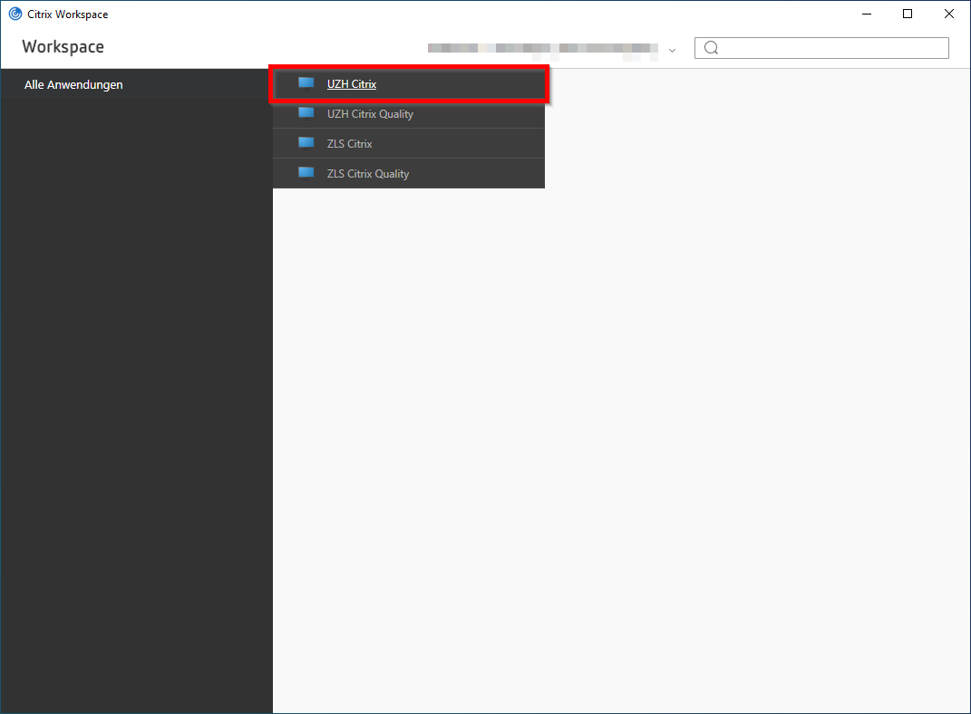Bild 14: Menü mit Citrix-Desktops